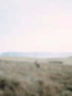 The Ghan Australia Train Journey