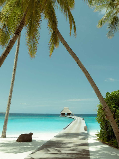 Velaa Private Island Editorial The Guide Magazine