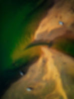 The South Devon Coastline