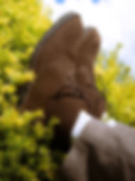 Crockett & Jones A/W25 Collection